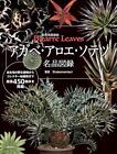 Dziwaczne liście agawy aloes cycas revoluta ilustrowany katalog Japonia sukulent
