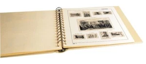 Spain Hojas Taupe 128900 Year 1989 Mounted IN White - Picture 1 of 1