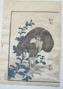 Antique JAPANESE OSTRICH BIRD AND  PEPPER PLANT WOODBLOCK BOOK PRINT by Dacho - Picture 1 of 6