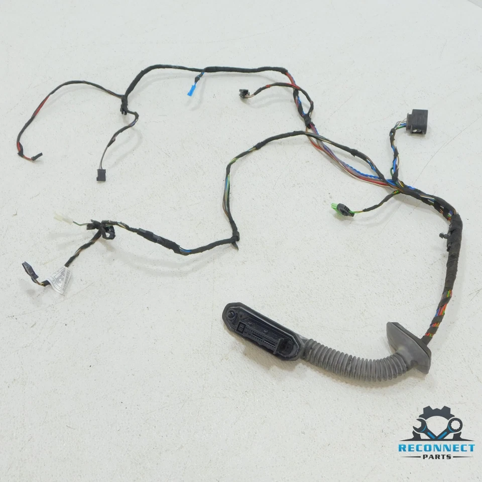 BMW 335i xDrive E90 2011 cableado puerta delantera derecha cableado arnés telar fabricante de equipos originales Foto 1 de 4