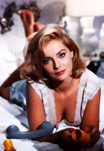 VIRNA LISI BEDROOM Photo Magnet @ 3"x5" - Picture 1 of 1