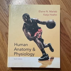 Human Anatomy and Physiology Book Elaine N. Marieb and Katja Hoehn 10th Ed - Picture 1 of 5
