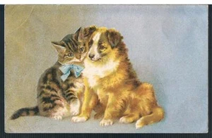 WILDT & KRAY POSTKARTE 1907 EIN VERLIEBTER WELPE UND KÄTZCHEN - Bild 1 von 2