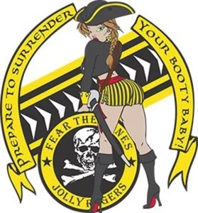 USAF 493rd Fighter Squadron Self-adhesive Vinyl Decal V2 - Picture 1 of 1