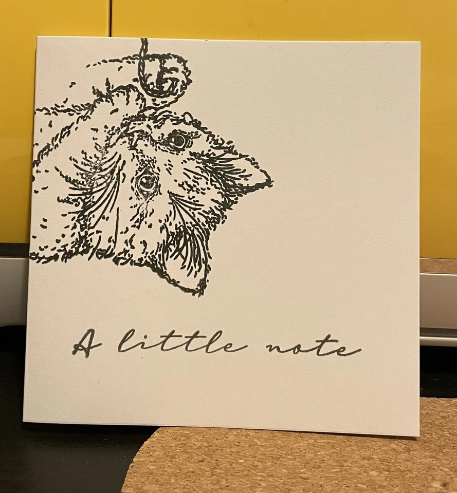 10 Cat Note Cards with Envelopes - Image 1 of 1