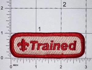 BSA Red Trained Strip Badge Patch Iron-On Used YZ02 - Picture 1 of 1