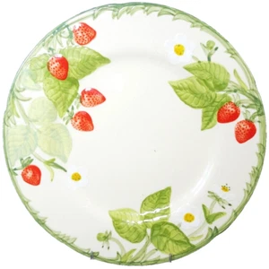 STRAWBERRY FAIR by Franciscan Dinner Plate 10.5" NEW NEVER USED made in USA - Picture 1 of 6