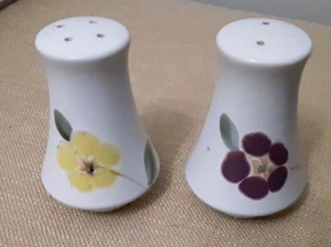 Salt and Pepper shakers Noritake 1970s Hello Spring pattern - Very scarce - Picture 1 of 3