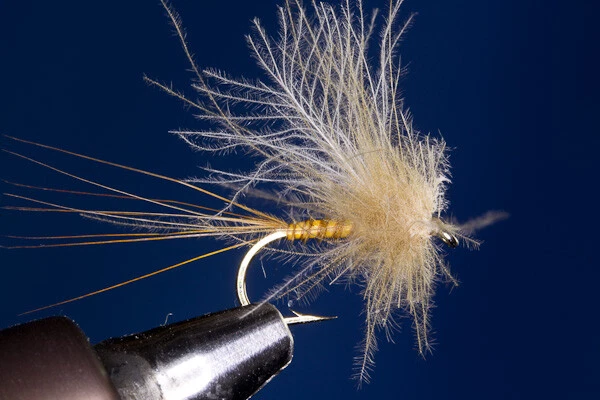 Fliegentom Trockenfliege - 3 Stück CDC Dun Märzbraune mit Biotskörper - Bild 1 von 1