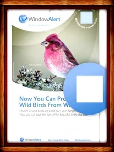 WINDOW ALERT ANTI-COLLISION DECALS CLINGS SQUARE SAVE BIRDS PREVENT STRIKES - Picture 1 of 4
