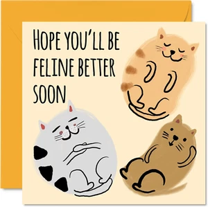 Funny Get Well Soon Cards for Women - Cat Feline Better - Get Well Cards for Men - Picture 1 of 7