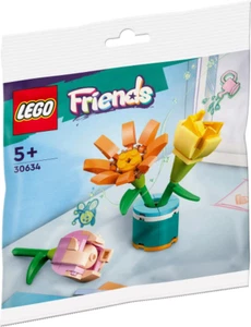 LEGO 30634 Flores de la Amistad - Imagen 1 de 1