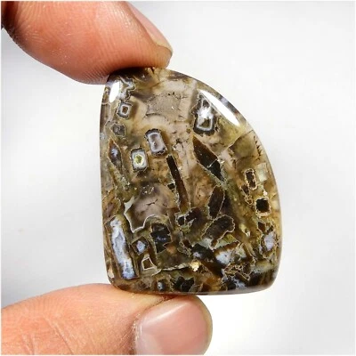 36 Cts Pseudomorph Stick Agate Gemstone  Fancy Natural Cabochon Loose #9444 - Image 1 of 4