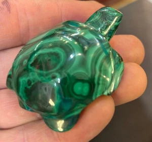 2” Malachite Turtle - Picture 1 of 9