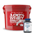 Scitec Nutrition 100 Whey Professional Amino Protein 5kg & Applied vit b12