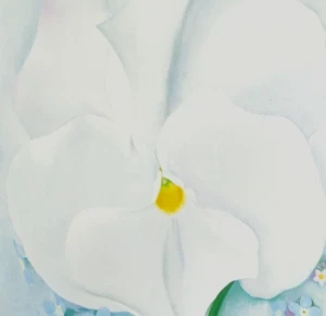 Georgia O' Keeffe White Pansy Botanic Flowers Art Print Book Plate 44 - Picture 1 of 5