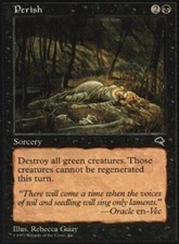 MTG magic cards 1x x1 Light Play, English Perish Tempest