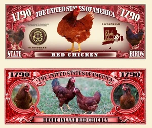OUR RHODE ISLAND RED CHICKEN NOVELTY NOTES (25 EA) - Picture 1 of 1