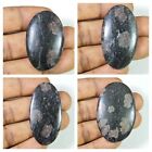 310Cts. Natural Ruby Fall Oval Cabohon Loose Gemstone 4Pcs Lot 40-50MM F500