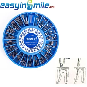 Dental Screw Post Kit Stainless Steel Complete 120 Posts 2 Key Wrench Tool - Picture 1 of 6
