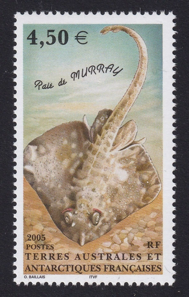 F. S. A. T. 2005 Murray`s Skate €4.50 SG 539 MNH/** (CV £22) - Image 1 of 1