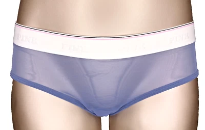 Victoria's Secret PINK NWT Large Blue Hiphugger Panty Logo Mesh Sheer Sexy - Image 1 of 4