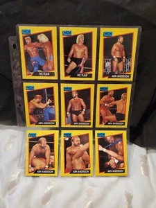 Vintage 1991 WCW WRESTLING SET (9 CARDS) Ric Flair Arn Anderson - Picture 1 of 2