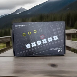 Roland Aira P-6 Creative Sampler - Picture 1 of 1
