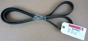 Cummins V Ribbed Belt P/N 4942430 - Picture 1 of 5