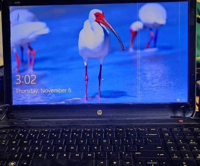 HP Pavilion dv6-7029wm PC intrattenimento ha 2 piccole linee nello schermo ancora funzionante - Immagine 1 di 4