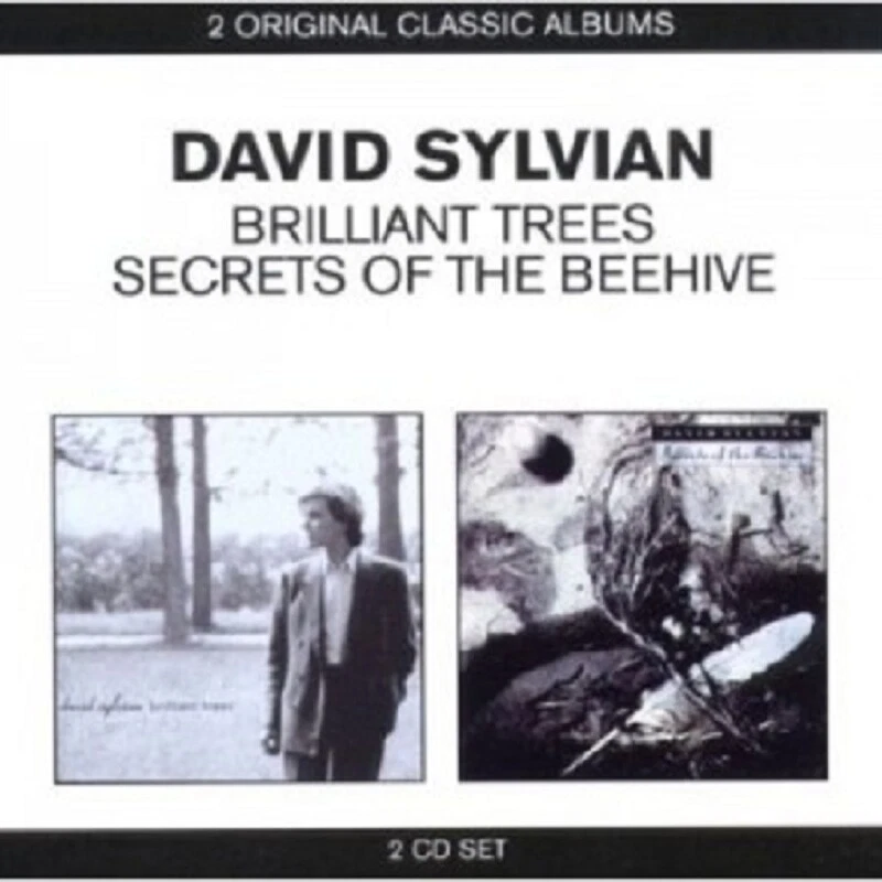 DAVID SYLVIAN - CLASSIC ALBUMS (2IN1 U.A. BRILLIANT TREES) 2 CD NEUWARE POP ROCK - Bild 1 von 1
