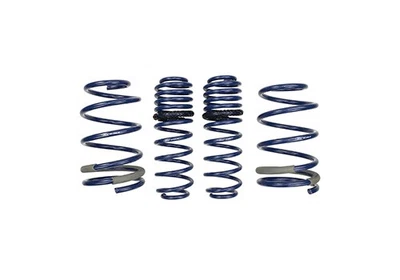 Track Lowering Springs for Ford Mustang GT 2005-2014 — 第 1/4 张图片