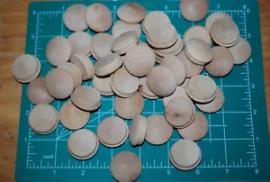 1" Mushroom Top Birch Wood Plugs 50pc Packs - PL02 - Picture 1 of 5