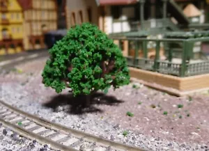 50 Dark Green Deciduous Trees, 40 mm High - Picture 1 of 11