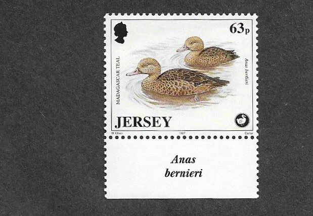 BIRDS MADAGASCAR TEAL MNH SINGLE 1997 JERSEY - Image 1 of 1