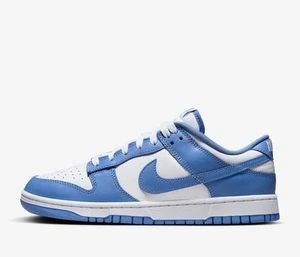 Nike Dunk Low Retro Sneakers Shoes Polar Blue/White DV0833-400 Mens Size 11.5 - Picture 1 of 10