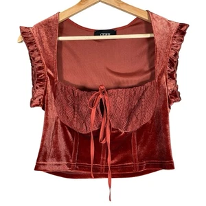 Cider Velvet Lace Crop Top Whimsigoth Cottage Romantic Fairy Grunge Vamp Corset - Picture 1 of 9