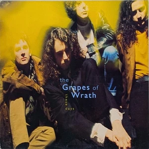 THE GRAPES OF WRATH These Days limited edition promo LP Marbled Vinyl - Picture 1 of 1