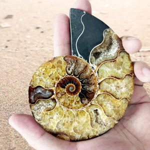 13cm Large Natural Ammonite Fossil Sea Conch Crystal Specimen Slice 1pcs - Picture 1 of 8