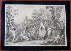 Franceschini Baccanale putti bartolozzi stampa antica 1765 vino vendemmia - Picture 1 of 7