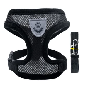 2024 AUS Pet Walking Dog Cat Chest Harness Outdoor Traction Rope Collar Clothing - Picture 1 of 23