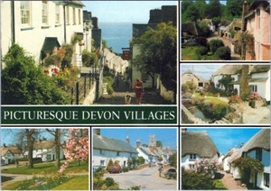 Postcard NEW INN PICTURESQUE DEVON VILLAGES Plant Property Photograph AA07550 - Picture 1 of 2