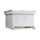 10 Frame Starter Beehive Kit - Includes 1 Painted And Assembled Deep Box With To
