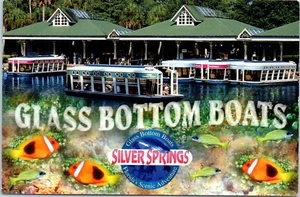 Silver Springs Glasbodenboote Floridas malerisches Abenteuer Postkarte - Bild 1 von 2
