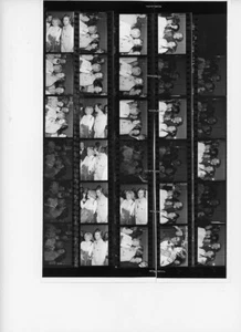 Foglio foto contatto e negativi HOGAN'S HEROES BOB CRANE FAMILY JUNE ALYSON - Foto 1 di 1