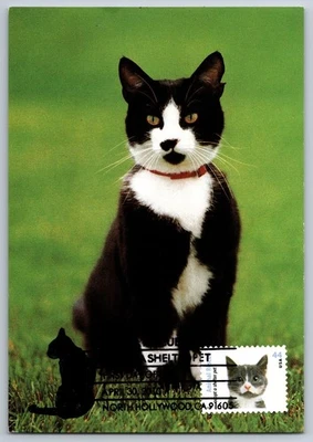 #4456 Adapt a Pet Gray and White Cat Maxi Card FDC w/Pictorial Cancel - Image 1 of 2