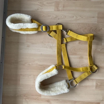 Showmaster - Teddyfleece - Halfter - xfull - Kaltblut In Golden Mango - Bild 1 von 3