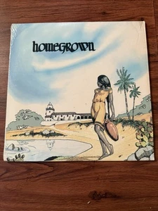 HOME GROWN IV VINYL LP 1978 KGB San Diego Punk Rock Sampler 1977 - Picture 1 of 7