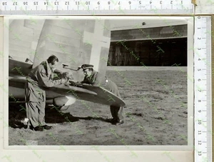 767-23 ) WW 2 FOTO AERONAUTICA - AEREI - AEROPLANI BOMBARDIERI cane mascot - Picture 1 of 2