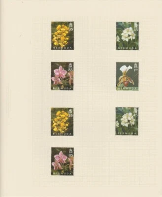 Bermudas Colección COMO NUEVO y Usado en 11 páginas de álbum 2004-2007 Foto 1 de 4